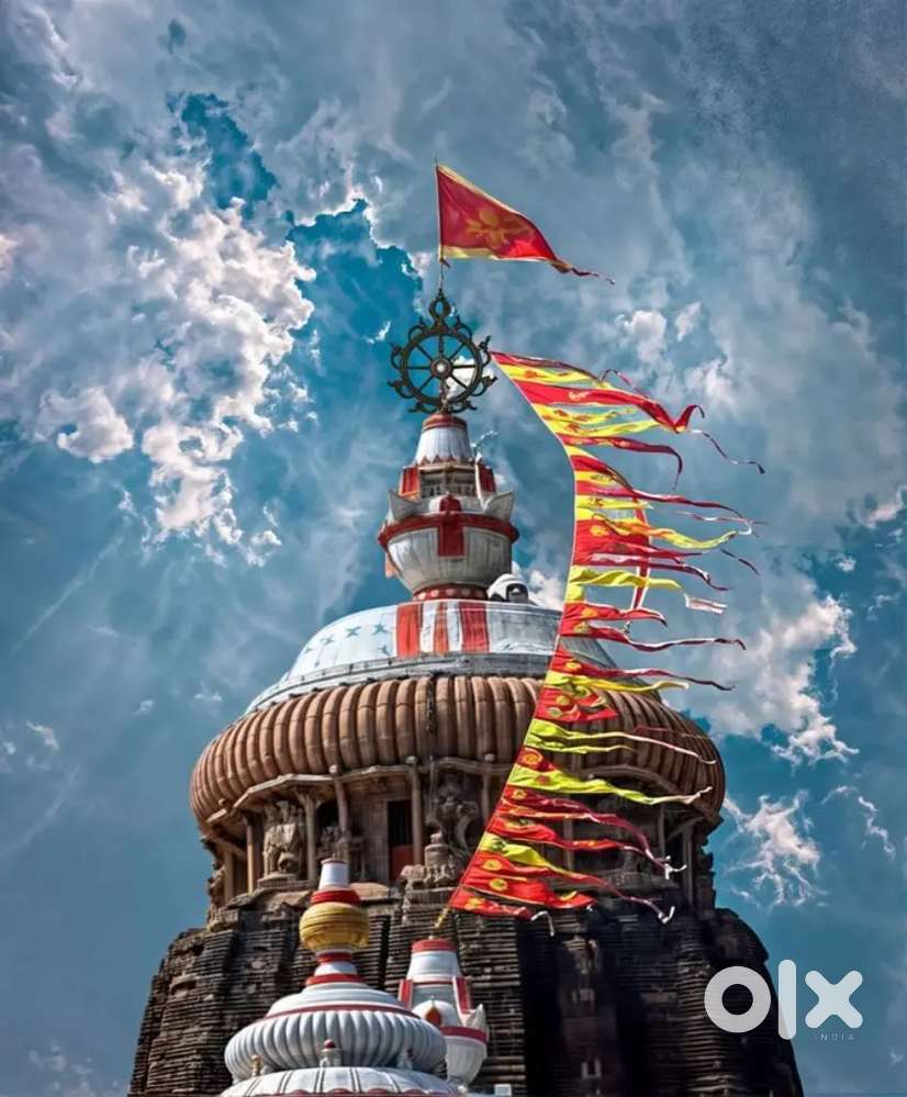 ବ୍ରହ୍ମପୁର ଟିଫିନ୍ ଜାଣିଥିବା ରୋଷେୟା ଏବଂଜଣେ ଫାଷ୍ଟ ଫୁଡ ରୋଷେୟା ଆବଶ୍ୟକ।