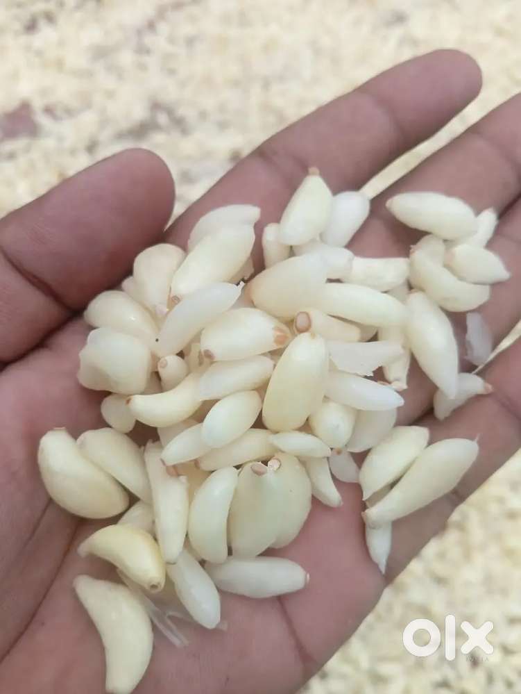 Peeled Garlic