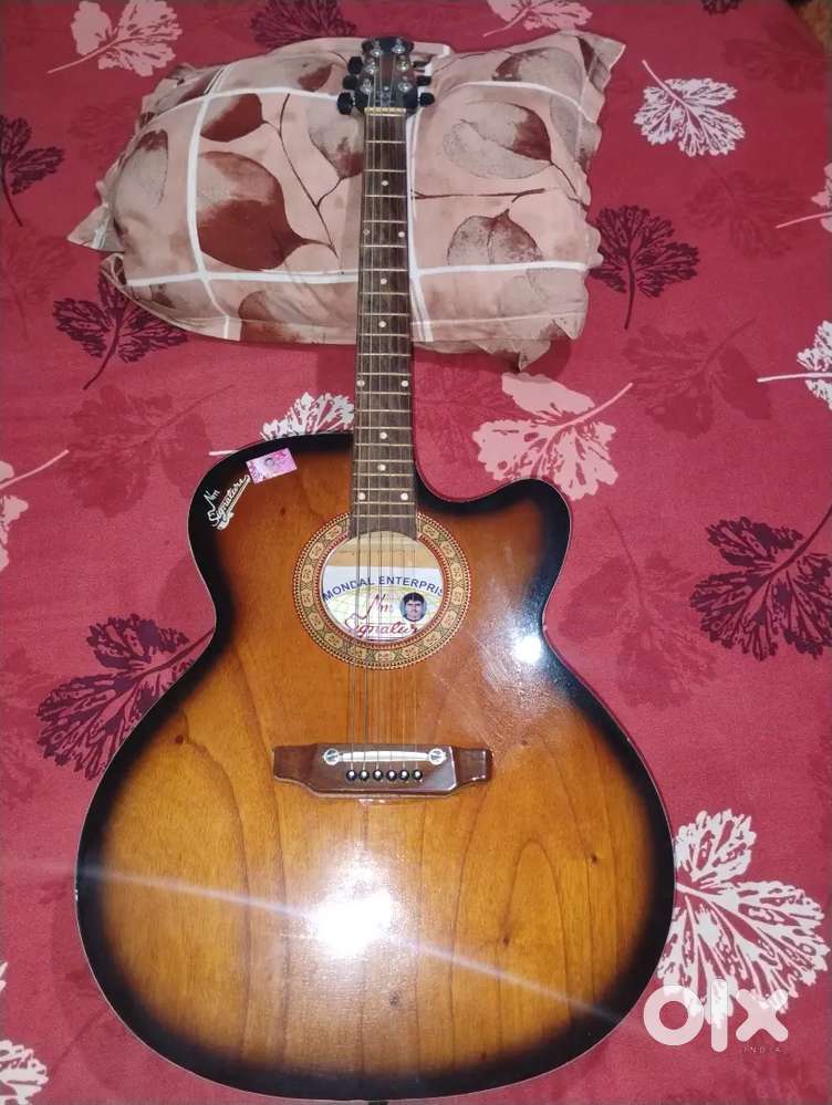Intermediate/ professional Guitar