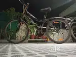 Sport cycle