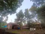 One small house 1 bedroom 1 hall 1 kitchen 10 cent land