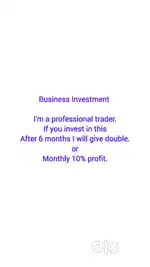 Business Investment