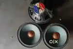 spicker 12inch