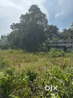 20 CENT LAND FOR SALE