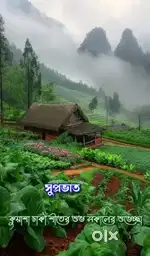 14 ft রাস্তার পাশে 3 কাঠা plot বিক্রি আছে