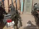 मुझे न्यू लेनी हे