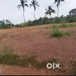 House plots for sale Thattathumala,Kilimanoor