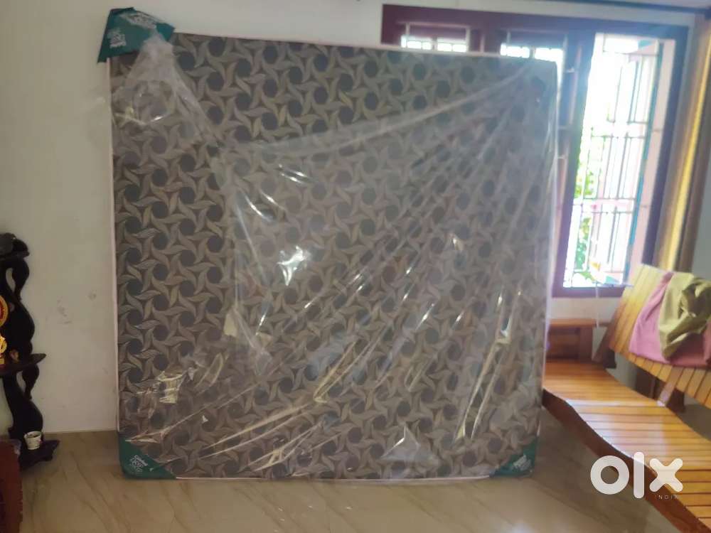 New Bed              size: 6.6