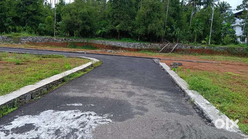 Angamaly near karukutty panthakkal,, beautiful house Plots for sale