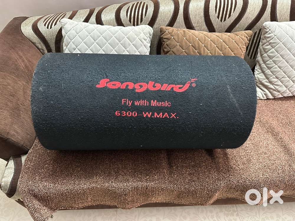 Bass Tube for Car 6500W 25inch tube with inbuilt Amplifier