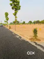 Clear title plots in Shikrapur