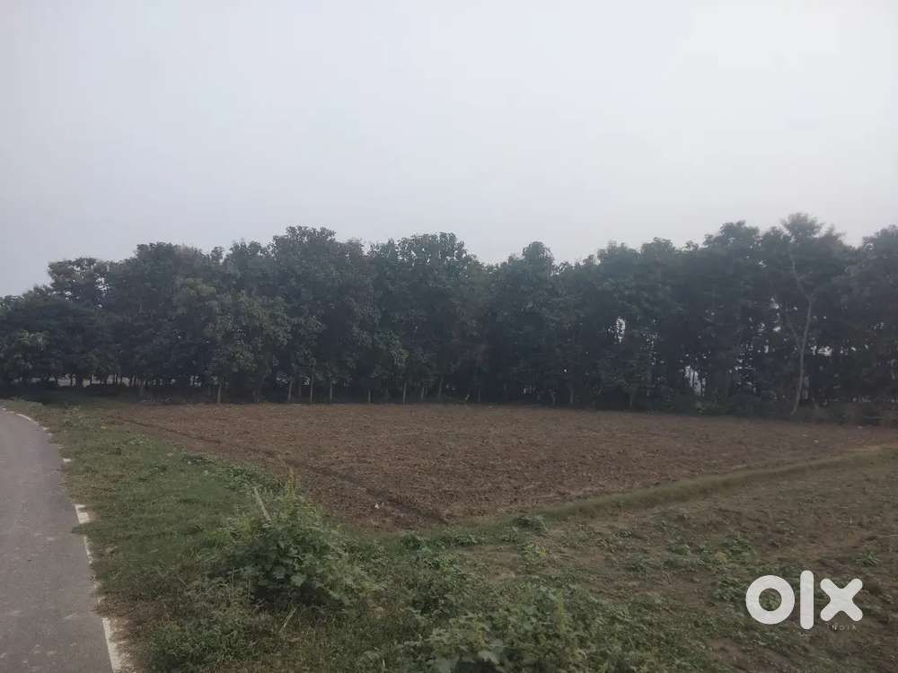 This plot is best for Houses, Schools & for commercial purposes.