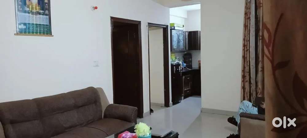 Need vegetarian day shift working 1 girl only