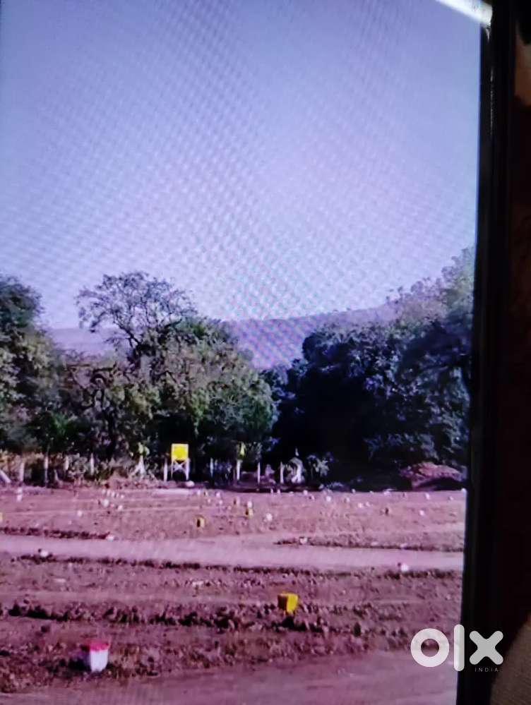 Cornor Plot for sale at Kasabkheda