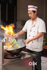 Chinese Cook Required
