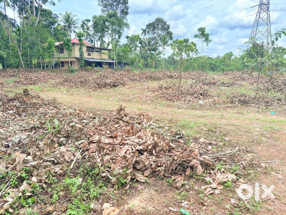 170 CENTS NEAR INFOPARK