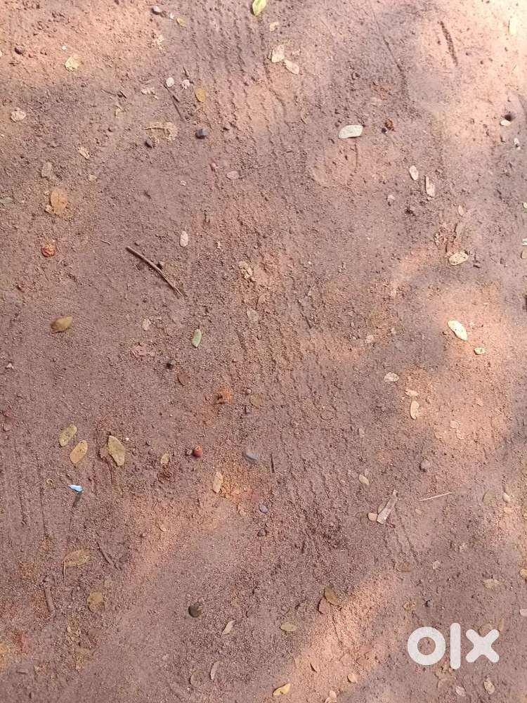 3 bhk independent house for Rent 15,000 deposit 50,000 @ mukka nh 300