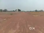Best for Investment