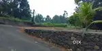 Kaduthuruthi muttuchira 8,10 cent plot, asking price 160000 per cent,