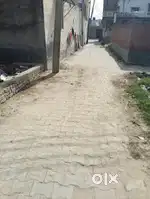 136 gaj ka plot tehsil k pas h dono side road h 14000 rupey gaj