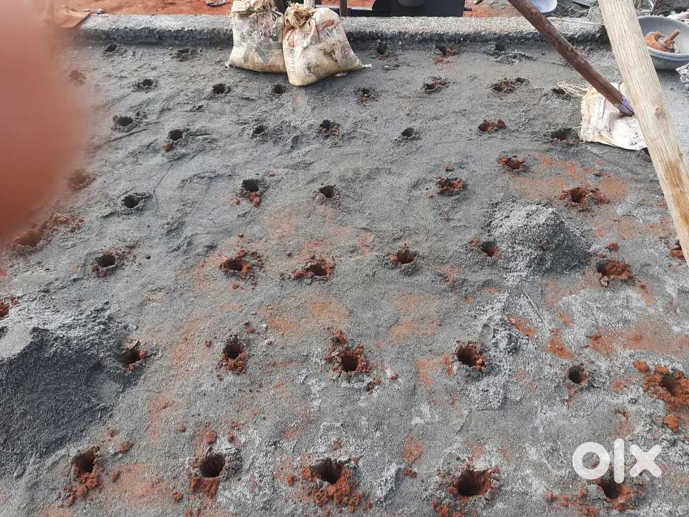 Pestcontrol opreator work only experience