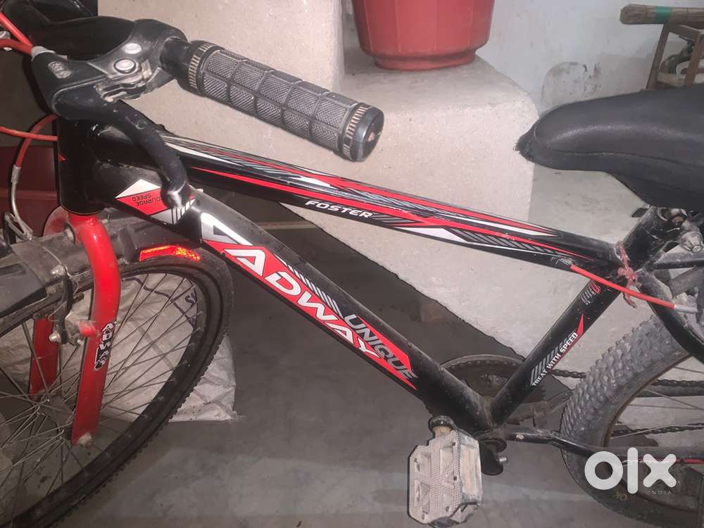 Brand new Cycle