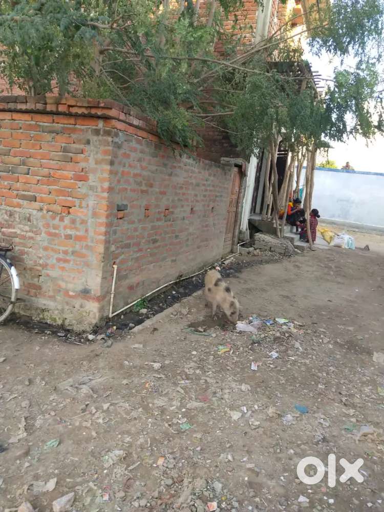 Ready to move plot in faizullaganj mandiyaon