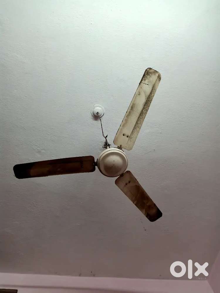 Crompton ceiling fan for sale 600