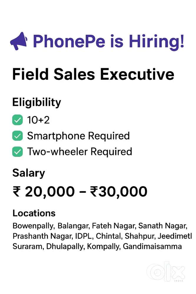 Phonepe sales executive