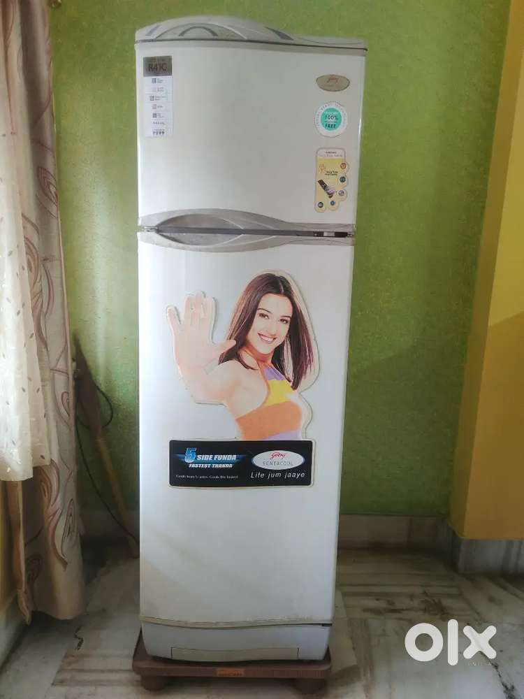 Godrej 235L Double Door Fridge