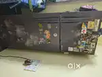 Lg 283 5years old