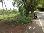 Land for Rent  Bannari Main Rd  Chikkarasam Palayam