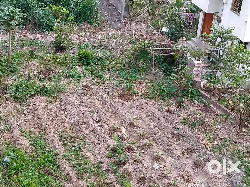 Per plot 1.5 katha (18 lakh per plot)