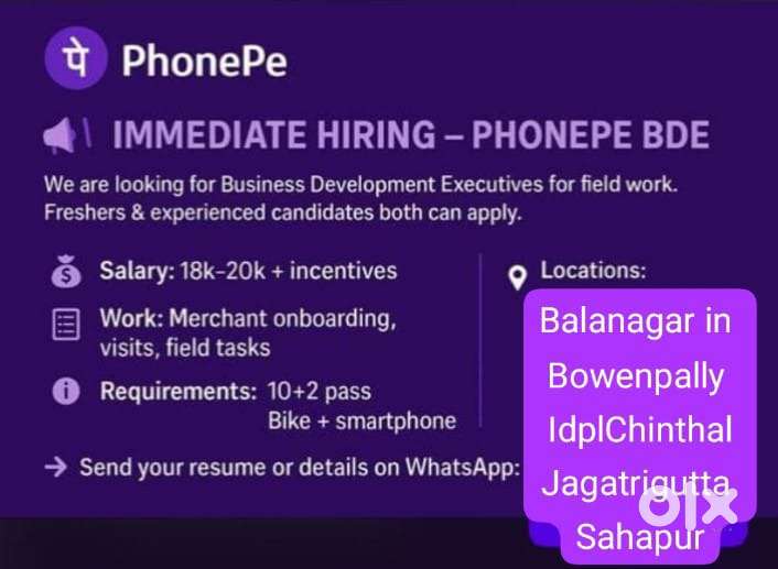 Business Development Executive