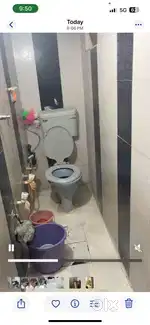 Single flatmate