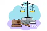 Lawyer & Advocacy