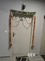 2BHK Luxurious apartment for rent(Negotiable)