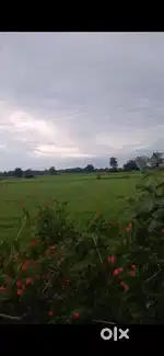 5 एकड़ खेती की जमीन ₹8 लाख पर एकड़