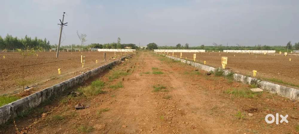 OUDA Approved Layout