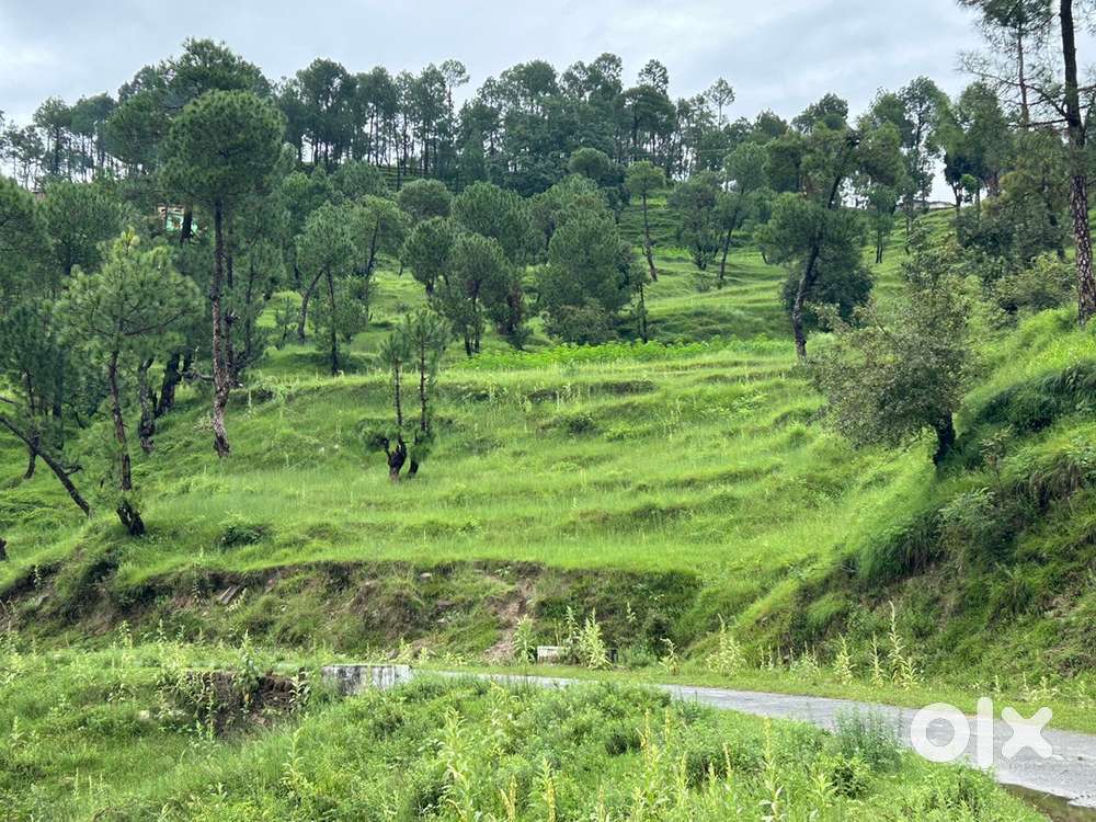 All plots sizes and villas are available