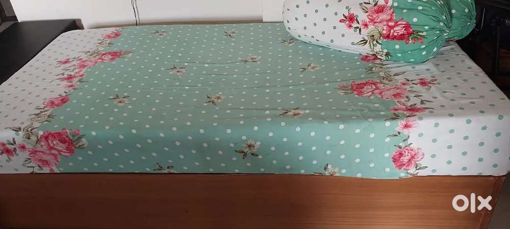 Diwan single bed with proper storage space
