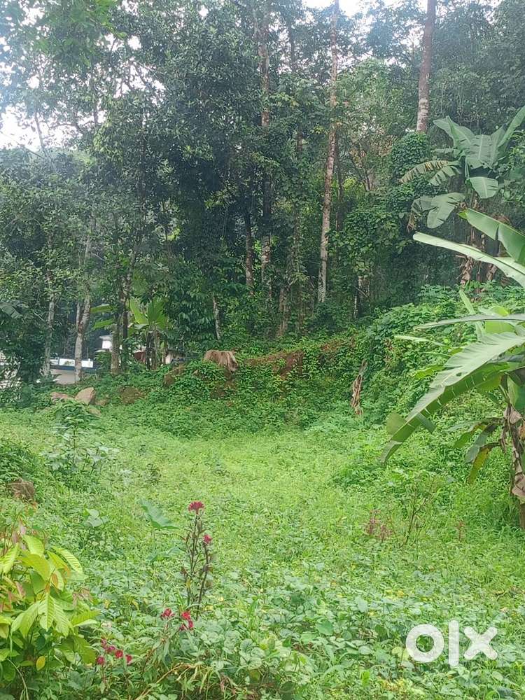 20 സെന്റ് വസ്തു