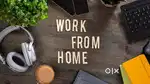 Work from home online job