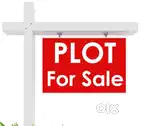 BDA plot park facing 240