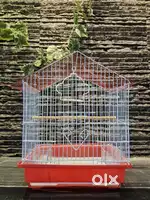 Bird Cage (small)