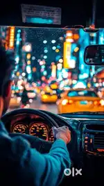 Need a professional driver