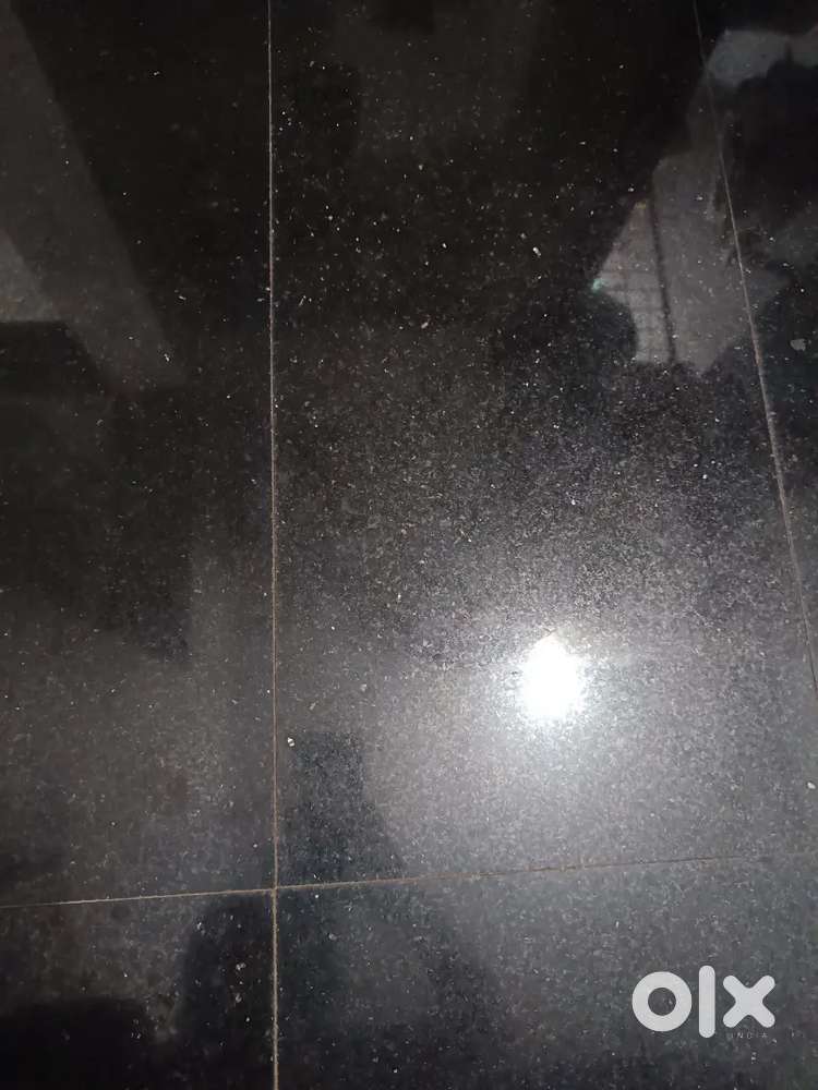 Music class.onoine and offline