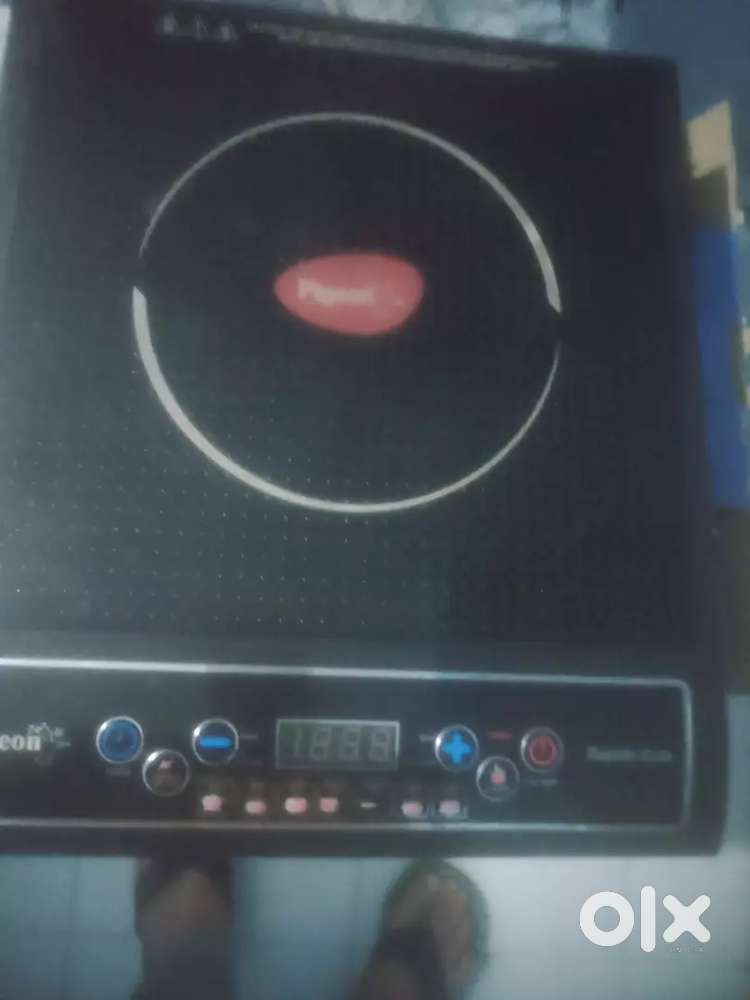 Induction hot plate