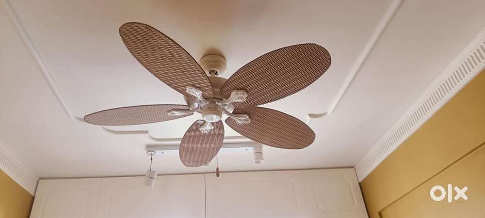 Luxury fan