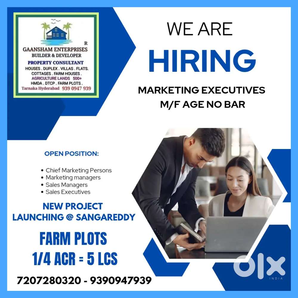 Marketing Executive